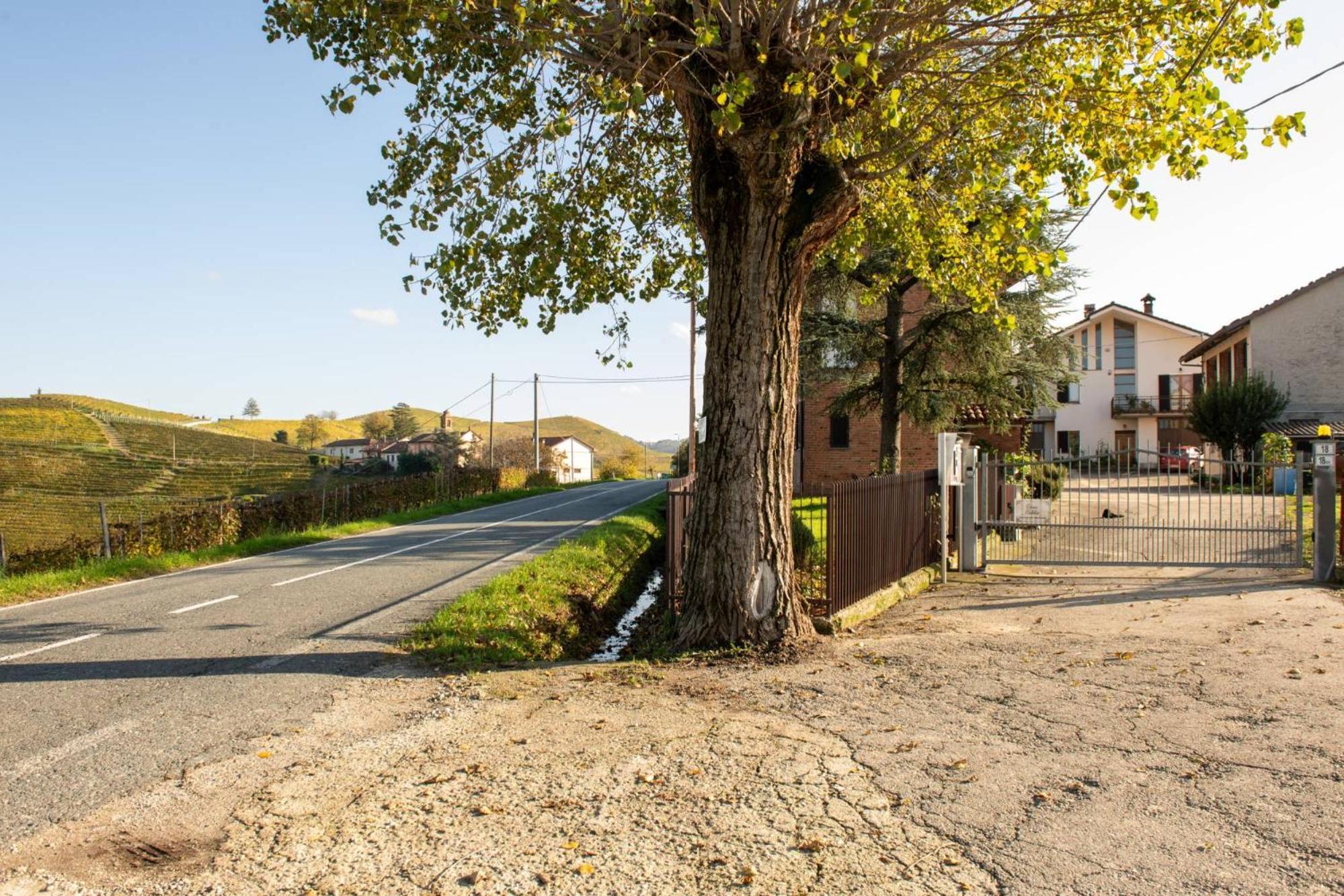 Casa Rubbo - Appartamento In Collina 'Monviso' Alba  Exterior foto